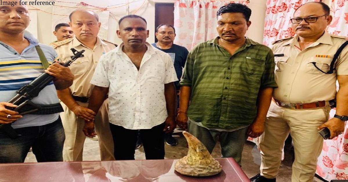Assam: Two arrested for smuggling rhino horn
